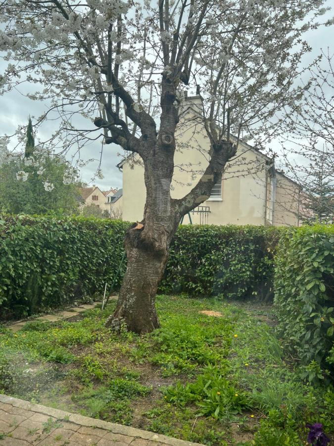 Maison Familiale, Quartier Calme ルマン エクステリア 写真